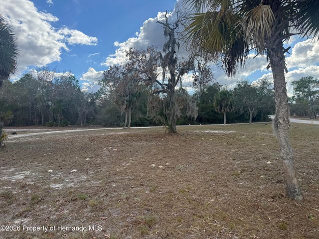 8104 Ridge Road, Weeki Wachee, FL 34613