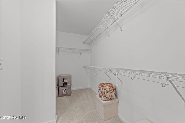 544 Arbor Drive, Greenville, NC 27858