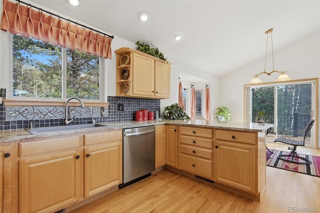 11864 S Stallion Drive, Pine, CO 80470