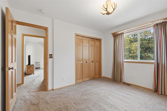 11864 S Stallion Drive, Pine, CO 80470