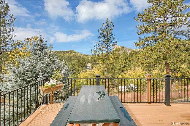 11864 S Stallion Drive, Pine, CO 80470