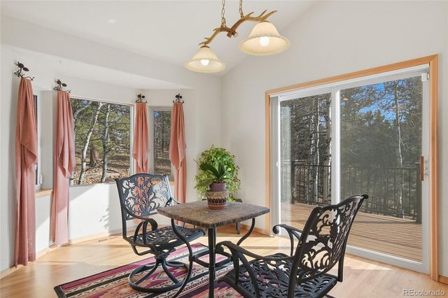 11864 S Stallion Drive, Pine, CO 80470