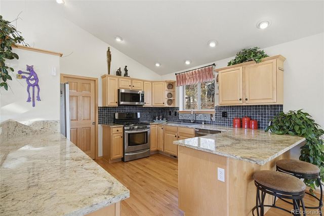 11864 S Stallion Drive, Pine, CO 80470