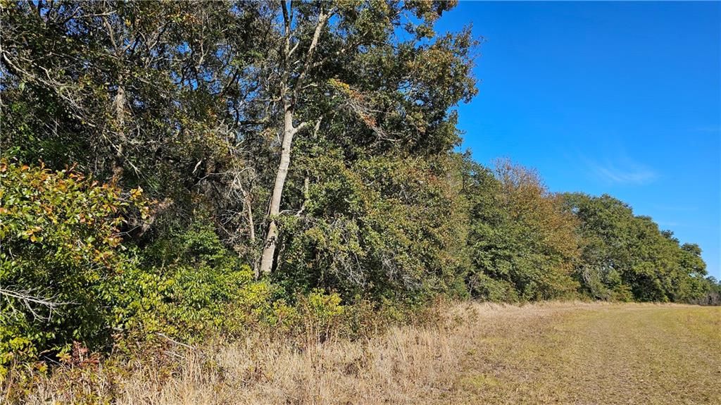 6761 Khmer Road, Irvington, AL 36544 — photo 3