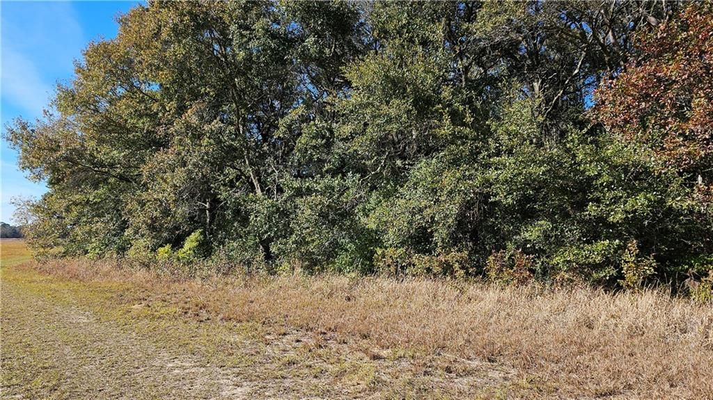 6761 Khmer Road, Irvington, AL 36544 — photo 4