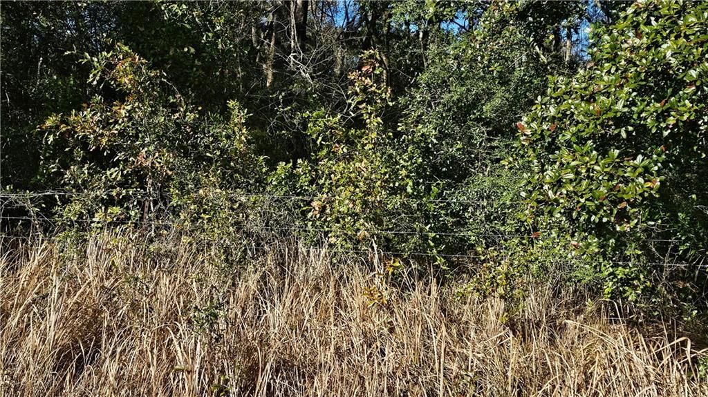 6761 Khmer Road, Irvington, AL 36544 — photo 5