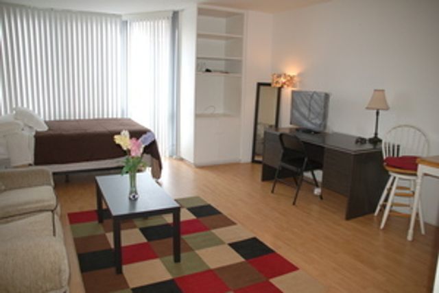 21 W Goethe Street 7C, Chicago, IL 60610