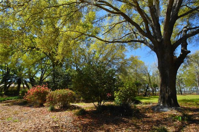 272 NE COUNTY ROAD 337, Trenton, FL 32693