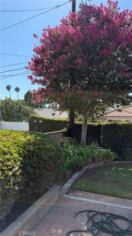 205 N Heathdale, Covina, CA 91722