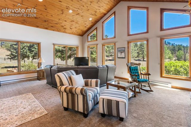 146 Toms Ranch Road, Lake George, CO 80827