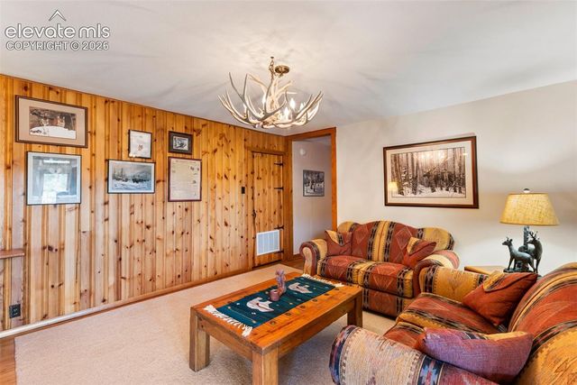 146 Toms Ranch Road, Lake George, CO 80827