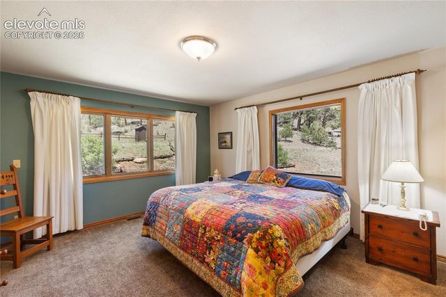 146 Toms Ranch Road, Lake George, CO 80827