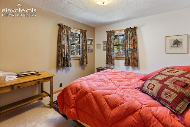 146 Toms Ranch Road, Lake George, CO 80827