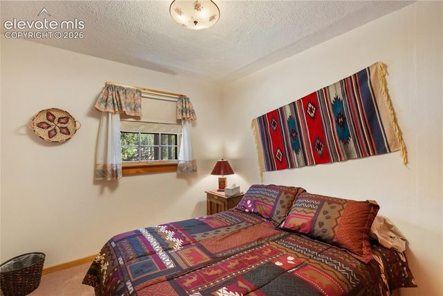 146 Toms Ranch Road, Lake George, CO 80827
