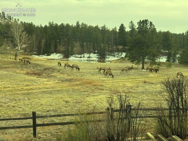 146 Toms Ranch Road, Lake George, CO 80827