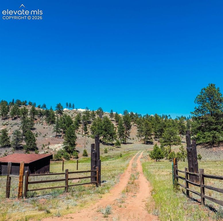 146 Toms Ranch Road, Lake George, CO 80827 — photo 2
