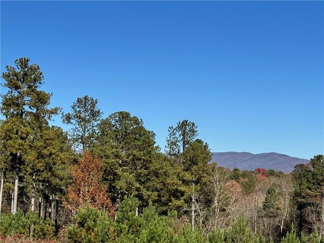 61 Station Gap, Dahlonega, GA 30533
