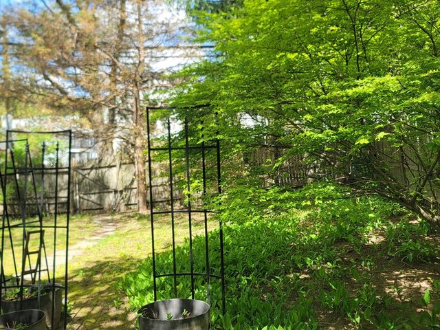 295 West Street, Boston, MA 02136
