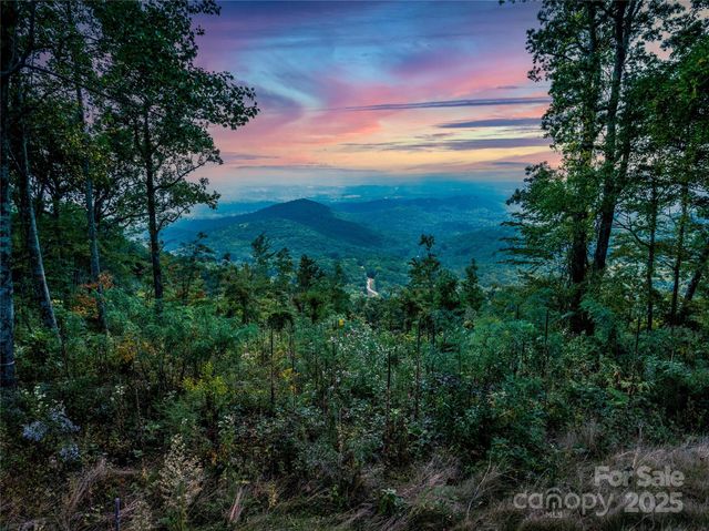 TBD East Garden Trail Lot #26, Hendersonville, NC 28792
