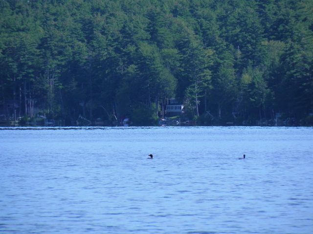 40 Pine Road, Wakefield, NH 03830