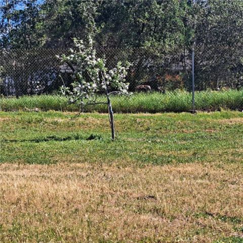 6250 Custer Lane, Oroville, CA 95966