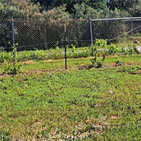 6250 Custer Lane, Oroville, CA 95966