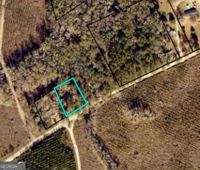 COLESBURG-TOMPK V/L N/S COLESBURG-TOMPKINS RD, Woodbine, GA 31569