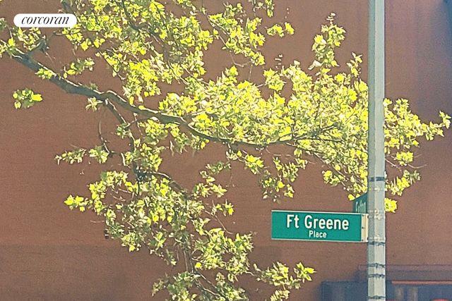 62 FORT GREENE Place, New York City, NY 11217