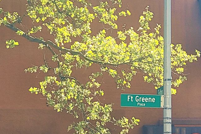 62 FORT GREENE Place, New York City, NY 11217