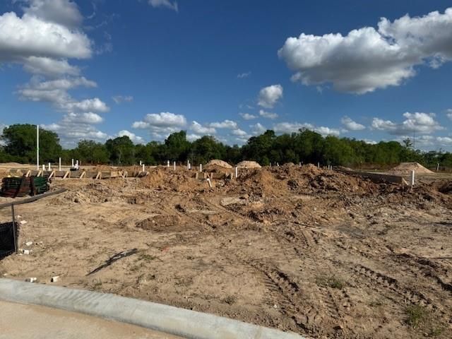 19146 Apple Fritter, Manvel, TX 77578