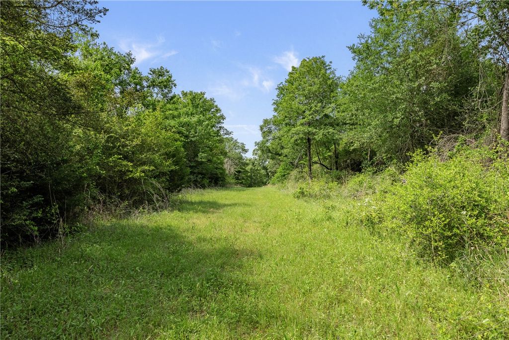 +/-400 AC FM 2289, Normangee, TX 77871 — photo 3