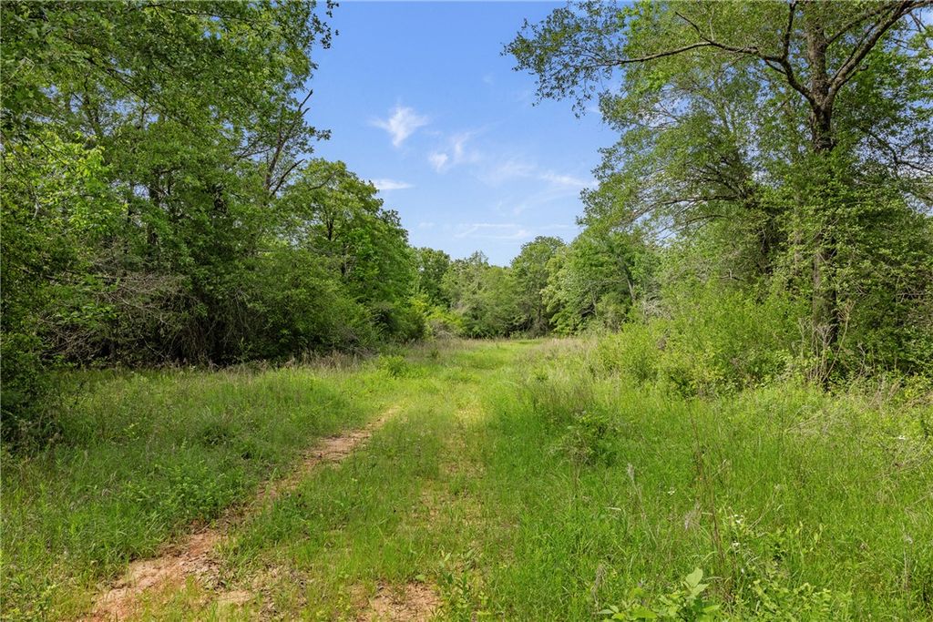 +/-400 AC FM 2289, Normangee, TX 77871 — photo 4