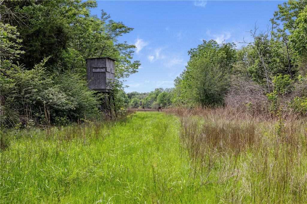 +/-400 AC FM 2289, Normangee, TX 77871 — photo 5