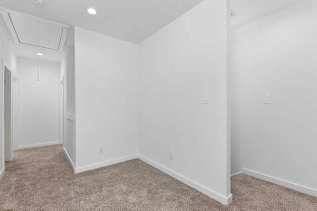 6824 Calhoun Road, Houston, TX 77021