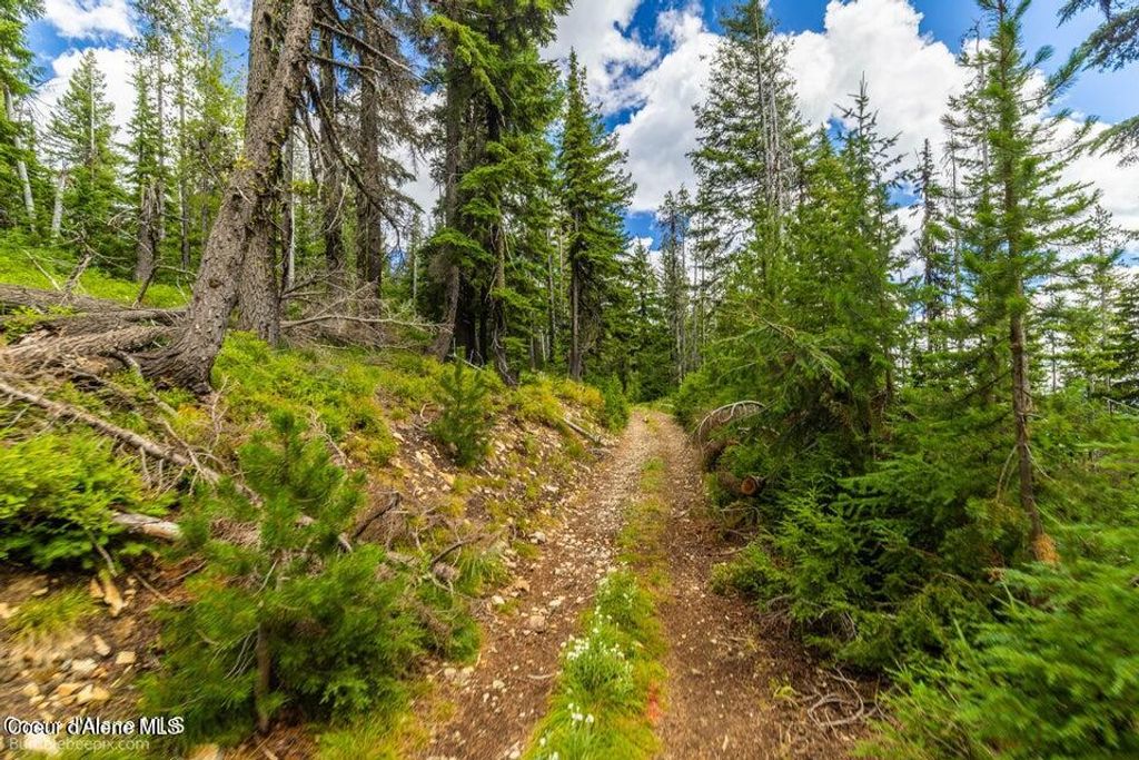 NNA Silver Mountain, Kellogg, ID 83837 photo 14