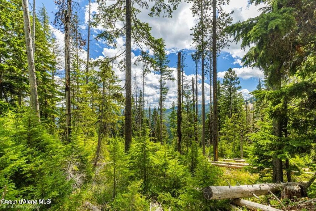 NNA Silver Mountain, Kellogg, ID 83837 photo 15