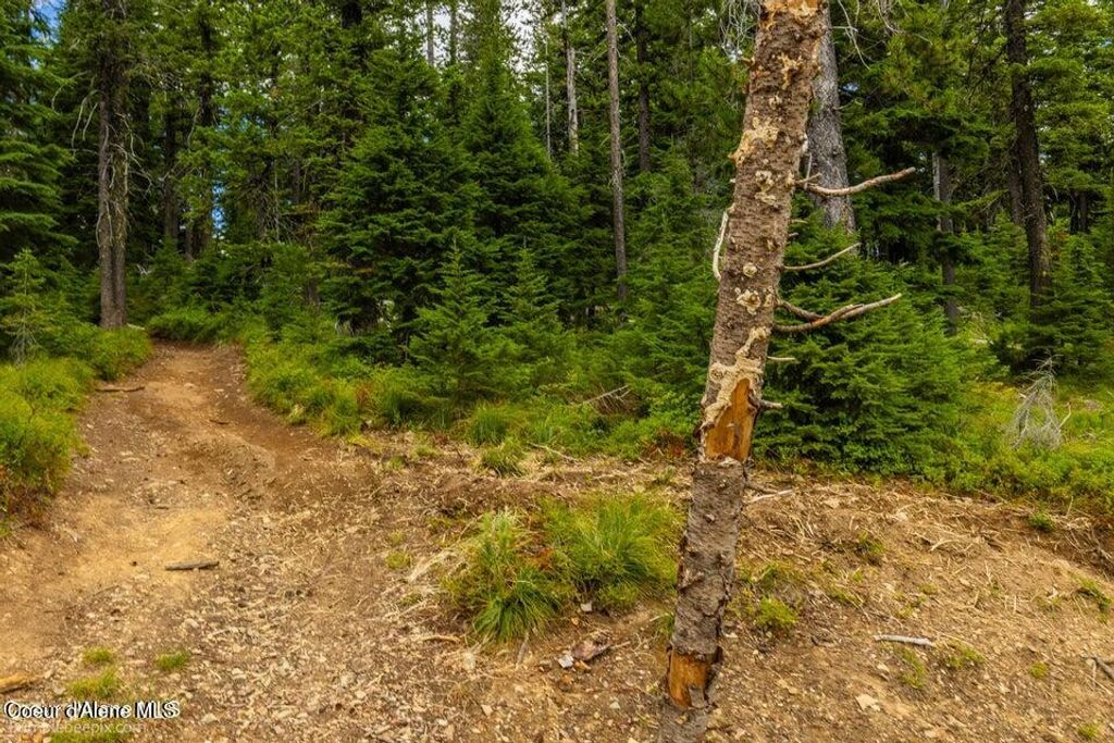 NNA Silver Mountain, Kellogg, ID 83837 photo 59