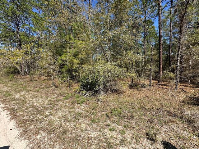 TBD SW 29TH STREET, Ocala, FL 34473