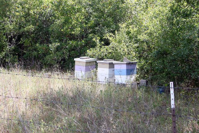 720 Green Acre DR, Dale, TX 78616