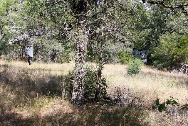 720 Green Acre DR, Dale, TX 78616