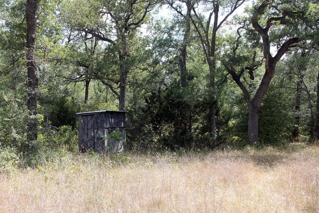 720 Green Acre DR, Dale, TX 78616
