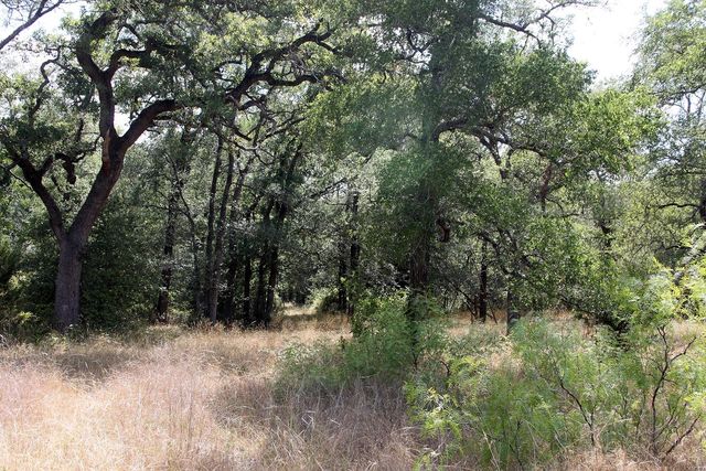 720 Green Acre DR, Dale, TX 78616