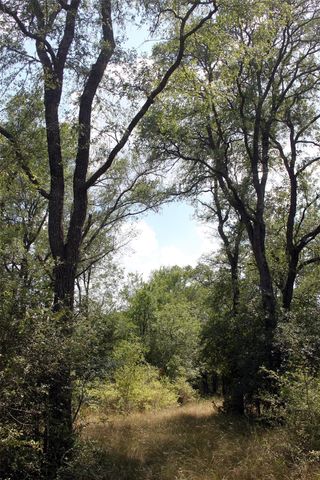 720 Green Acre DR, Dale, TX 78616
