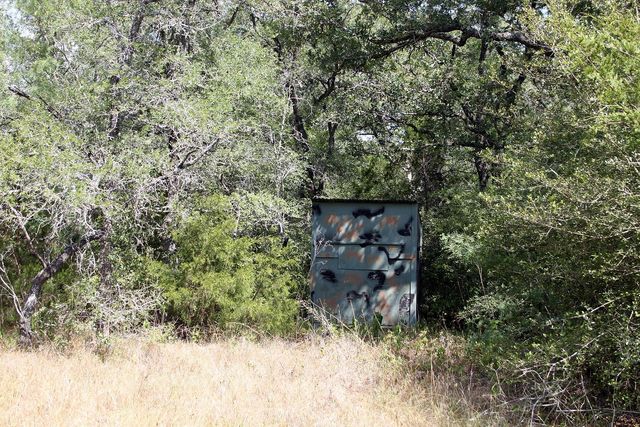720 Green Acre DR, Dale, TX 78616