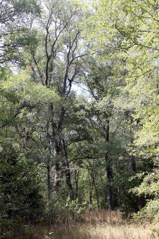 720 Green Acre DR, Dale, TX 78616