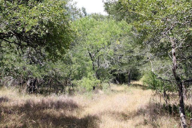 720 Green Acre DR, Dale, TX 78616