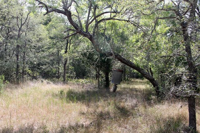 720 Green Acre DR, Dale, TX 78616