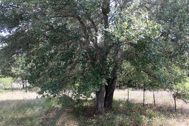 720 Green Acre DR, Dale, TX 78616