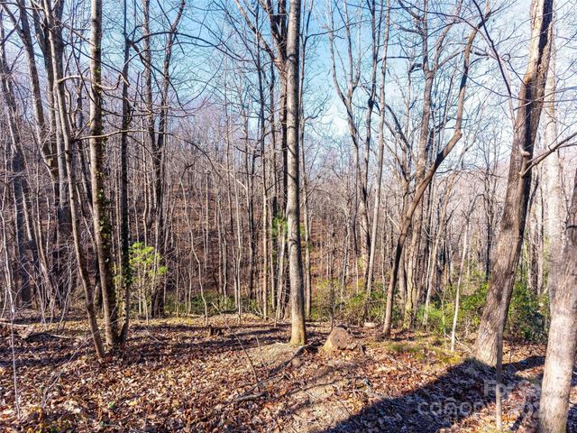 00 Mountain Page Road 17,18,19, Saluda, NC 28773