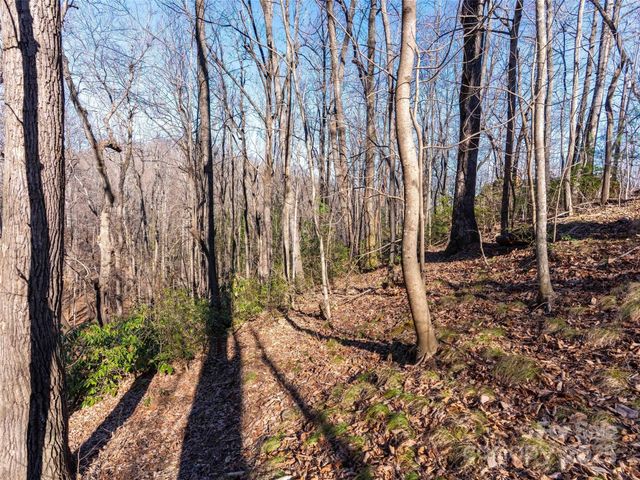 00 Mountain Page Road 17,18,19, Saluda, NC 28773